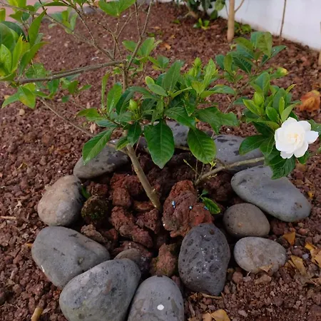 아파트 A Casa Do Terraco