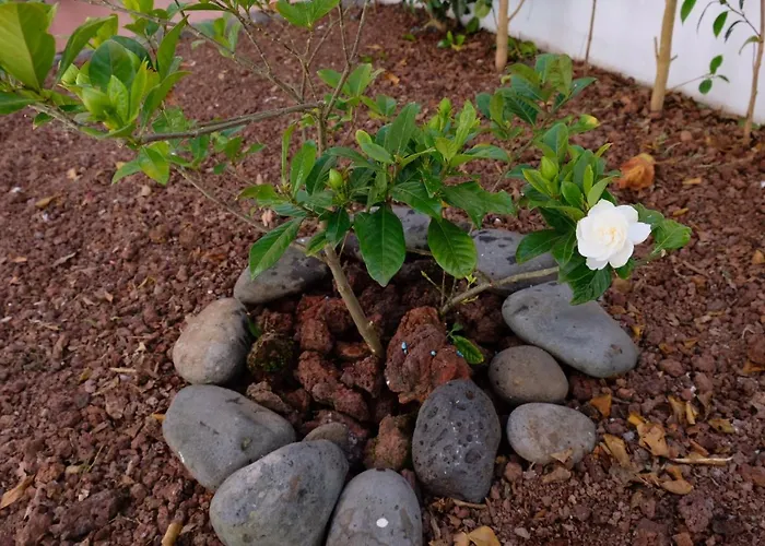 Daire A Casa Do Terraco