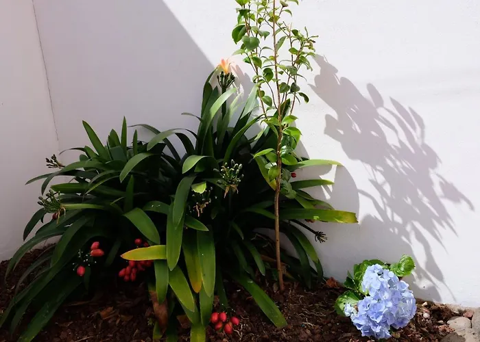 Daire A Casa Do Terraco